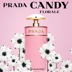 Prada Candy