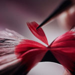 Miss Dior X Maison Février